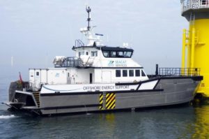Image of Seacat Courageous